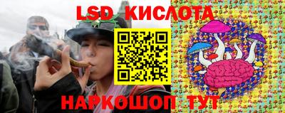 ECSTASY Сланцы