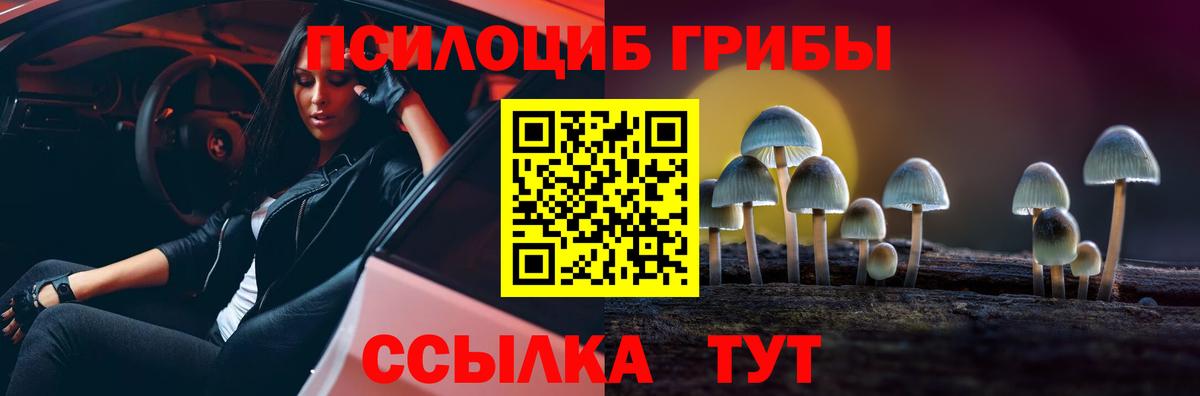 Псилоцибиновые грибы мухоморы Новочеркасск